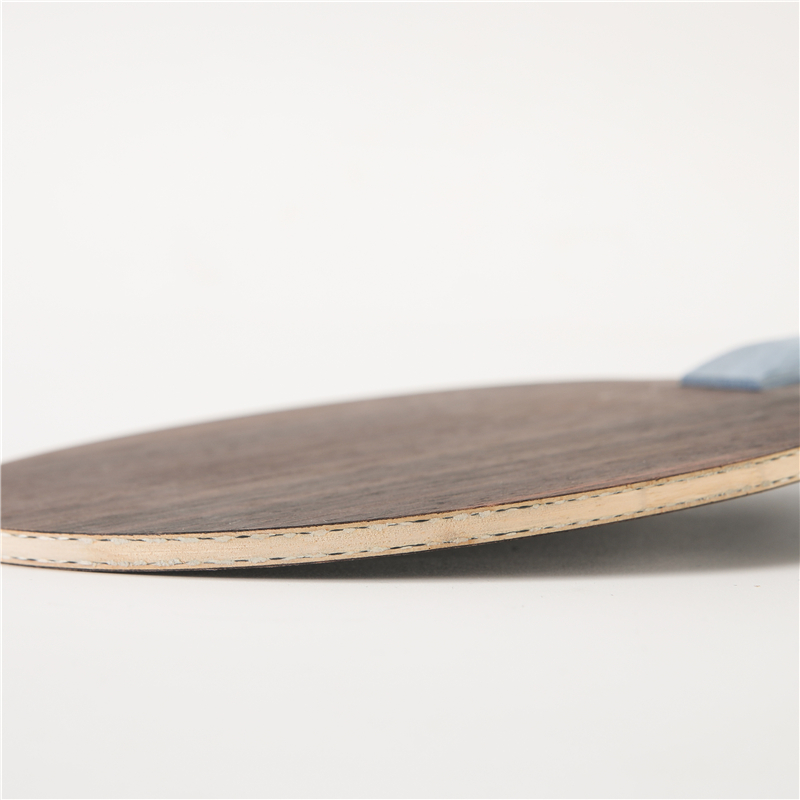 W968-5 structure Ebony table t - Table Tennis Viscaria recension och pris