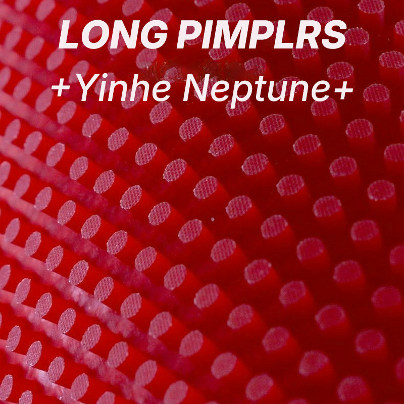 YINHE NEPTUNE Long Pimples Tab - Table Tennis Spin recension och pris